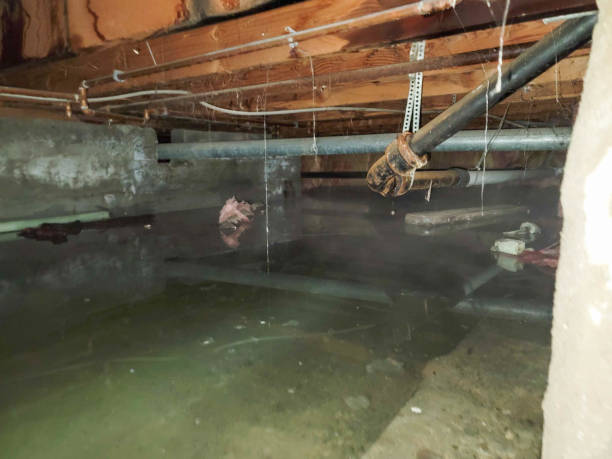 Best Flood restoration services  in Glenn Heights, TX