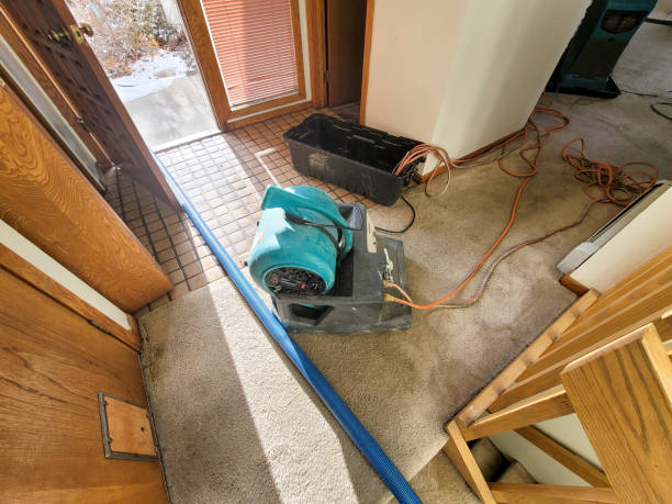Best Water damage mitigation services  in Glenn Heights, TX