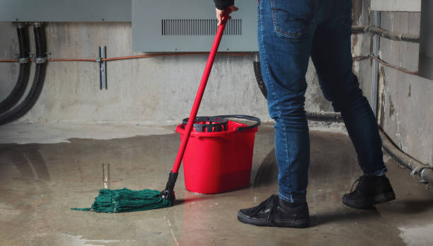 Best 24-hour water damage restoration  in Glenn Heights, TX