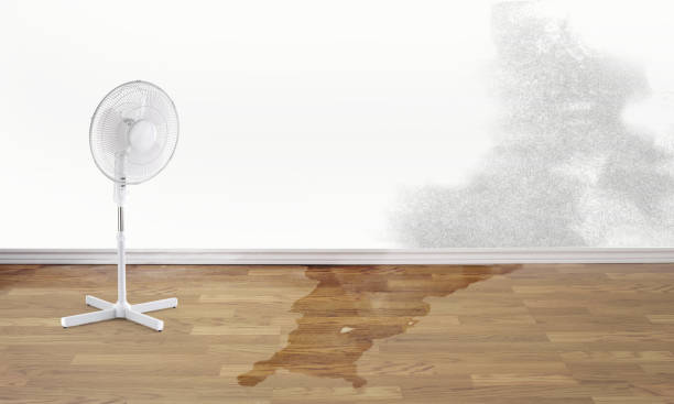 Best Residential water damage restoration  in Glenn Heights, TX