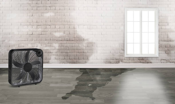 Best Water damage contractors near me  in Glenn Heights, TX